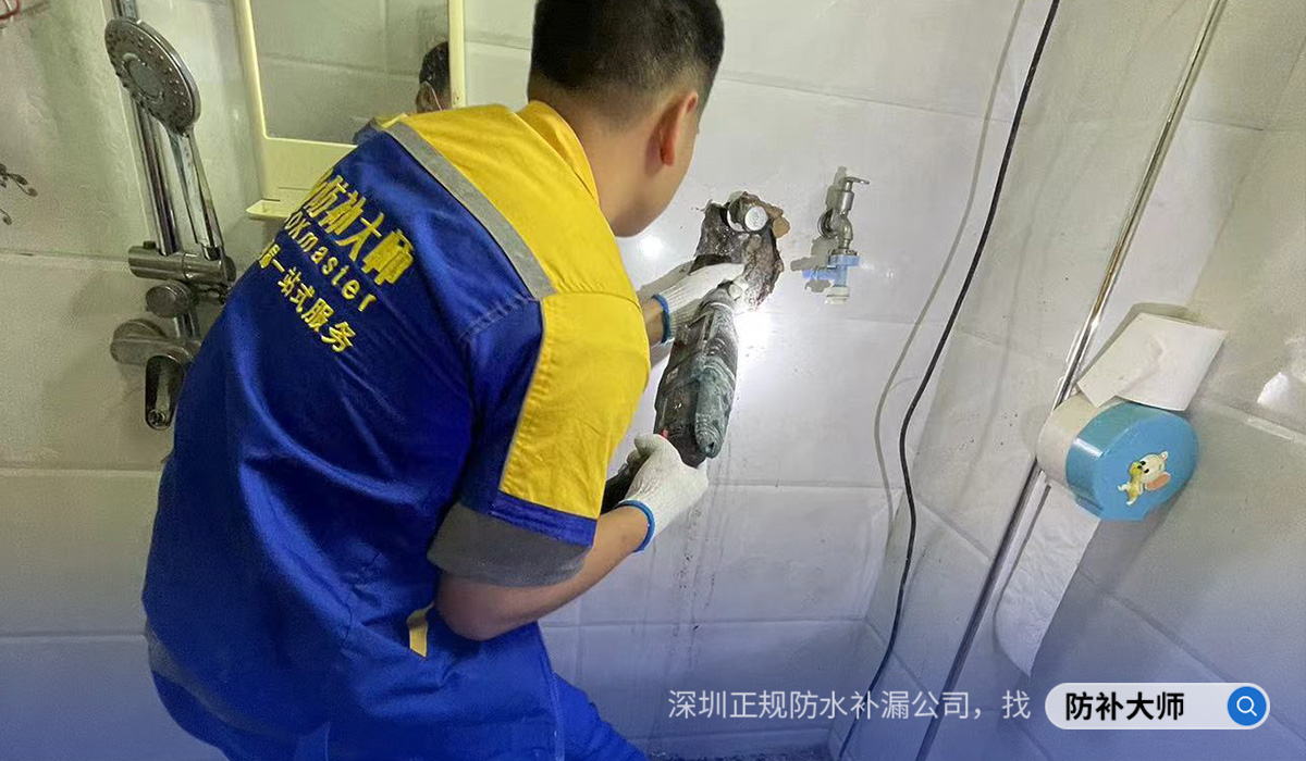 深圳专业做防水防漏公司推荐